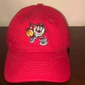 Looney tunes Taz hat! Like brand new!